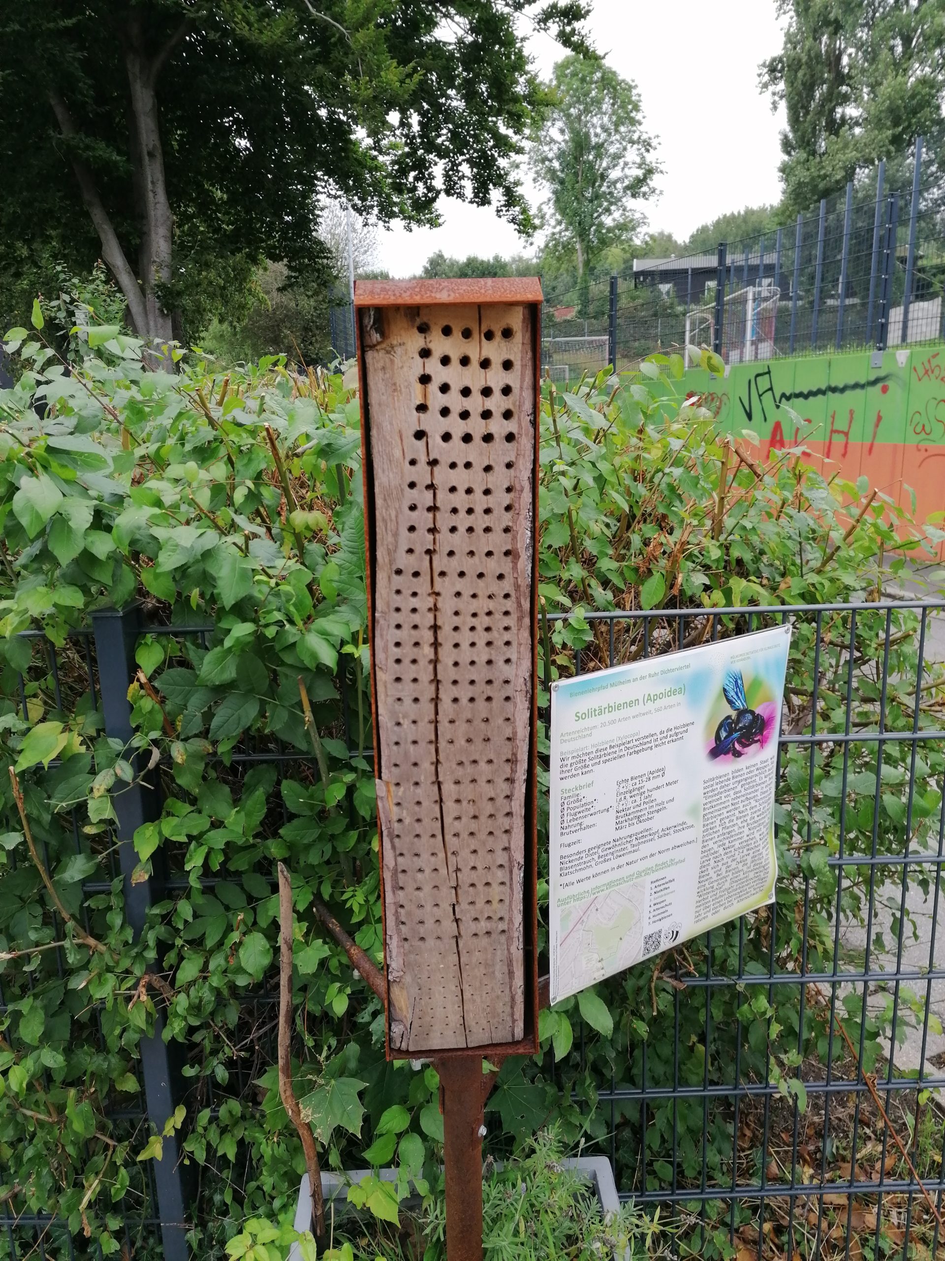 Siepmann Holzbau stiftet frisches Holz für die Sanierung des Bienenlehrpfades 1